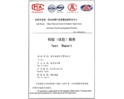 电力变压器S13-M-315/10检验报告