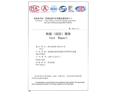 全绝缘全密封金属封闭网开关设备LXF-12/125-31.5检验报告